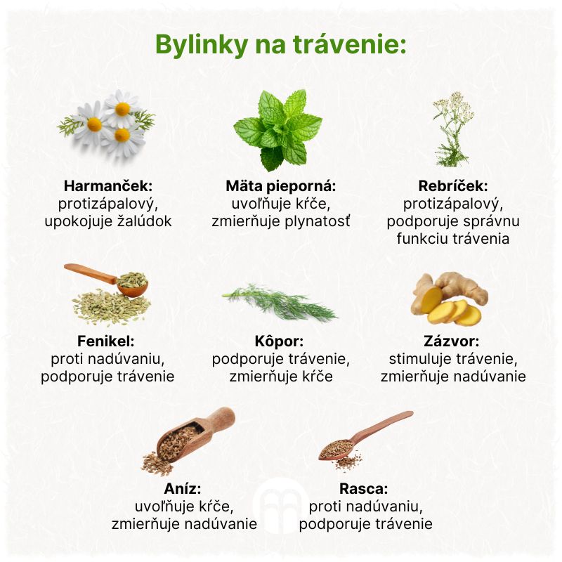 (Slovenčina) Bylinky na trávení